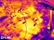 infrared-inspection-03