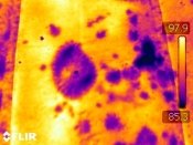 infrared-inspection-10